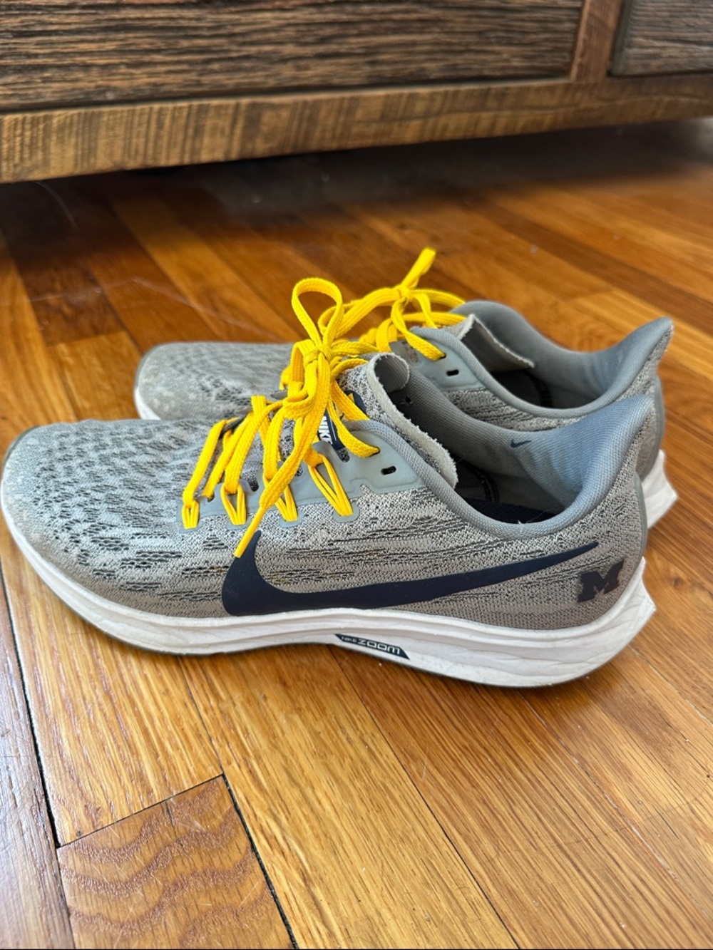 Michigan x Nike Zoom Pegasus 36